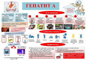 Профилактика вирусного гепатита А Профилактика вирусного гепатита А.