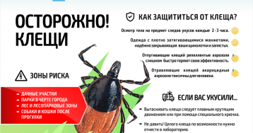 Как защититься от укуса клеща? Как защититься от укуса клеща?.