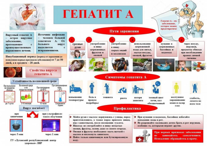 Профилактика вирусного гепатита А Профилактика вирусного гепатита А.
